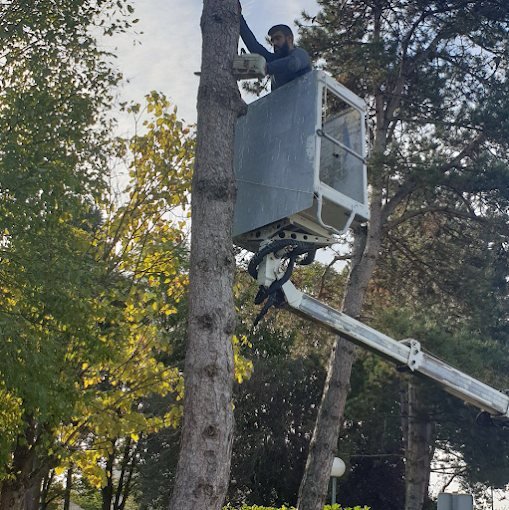 Chantier SAUNIER Espaces Verts – paysagiste Maine-et-Loire (49)