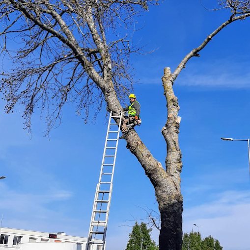 Chantier SAUNIER Espaces Verts – paysagiste Maine-et-Loire (49)