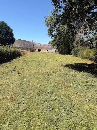Taille de haie – SAUNIER Espaces Verts, paysagiste Maine-et-Loire (49)