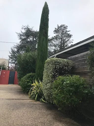 Dessouchage – SAUNIER Espaces Verts, paysagiste Maine-et-Loire (49)