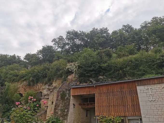 Travaux en hauteur – SAUNIER Espaces Verts, paysagiste Maine-et-Loire (49)
