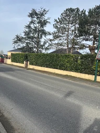 Évacuation des déchets verts – SAUNIER Espaces Verts, paysagiste Maine-et-Loire (49)