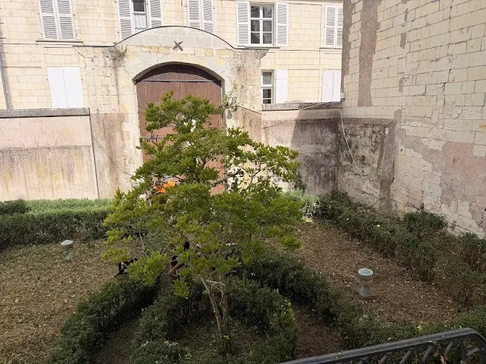 Intervention en nacelle – SAUNIER Espaces Verts, paysagiste Maine-et-Loire (49)