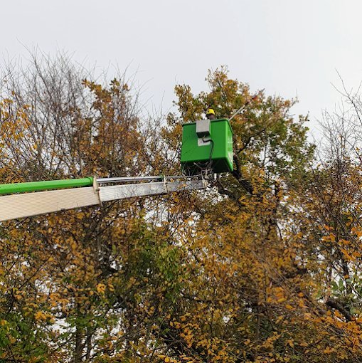 Élagage en nacelle – SAUNIER Espaces Verts