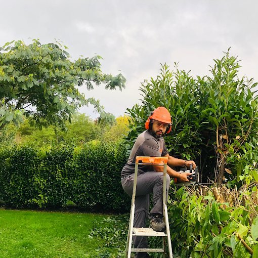 Élagage sur échelle – SAUNIER Espaces Verts